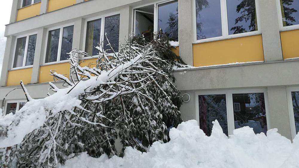 In St. Jakob im Defereggental stürzte ein Baum auf das Haus des Schulclusters