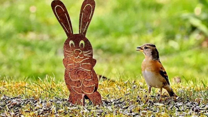 Diese Besprechung zum Inhalt des „Osternesterls“ schickte uns Leserreporter Josef Polansky aus Krieglach