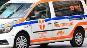 Krankenwagen Wien | Die beiden Geschwister wurden reglos in einem Zimmer liegend vorgefunden. (Themenbild)