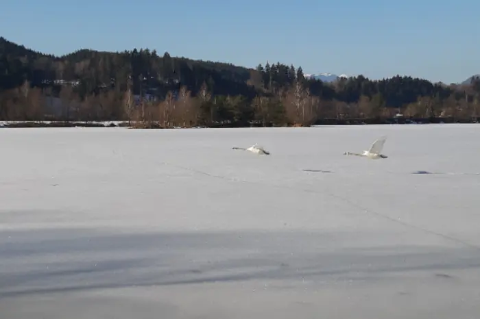 Schnee auf Eis am Silbersee.