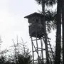 Hannes Kollar, Jäger, Hochsitz in Übelbach, Jagdrevier, Jagd