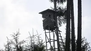 Jäger verstarb im Hochsitz (Sujetbild)