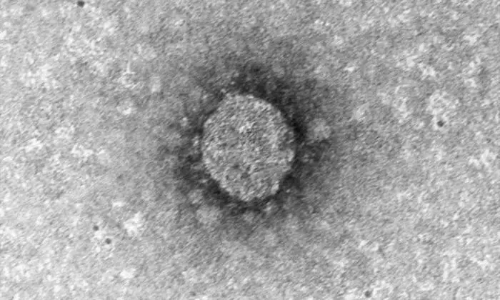 ++ HANDOUT ++ CORONAVIRUS: COVID-19 (SARS-COV-2)-ERREGER