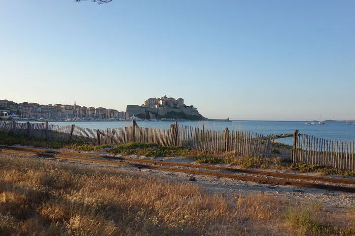 Nur wenige Gehminuten vom "Störrischen Esel" entfernt liegt die Bucht von Calvi mit ihrem wunderschönen, langgezogenen Sandstrand.