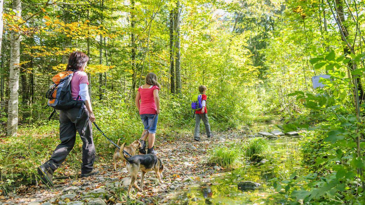 In der Region setzen die Touristiker auf Wandern und Kulinarik