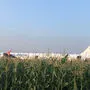 Passagierflugzeug landete bei Moskau in einem Maisfeld