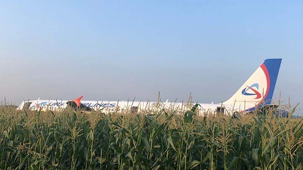 Passagierflugzeug landete bei Moskau in einem Maisfeld