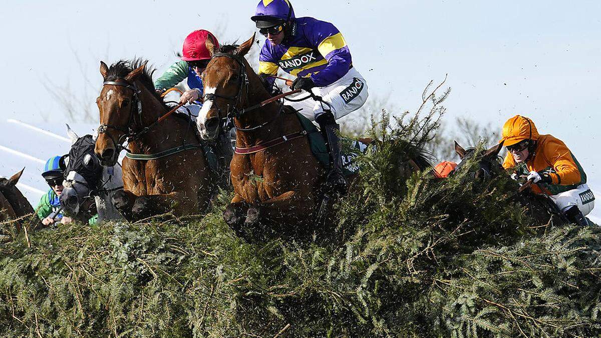 Bei dem Rennen in Aintree starben diesmal drei Pferde