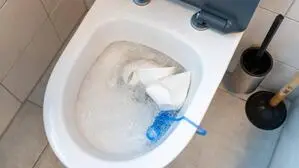 Die insolvente Unternehmerin war im Bereich Hausmeisterdienst und Reinigung tätig