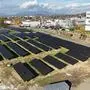 Das erste, kleine Freiflächenprojekt im Rahmen des PV-Masterplans: 2000 Quadratmeter in der Maggstraße
