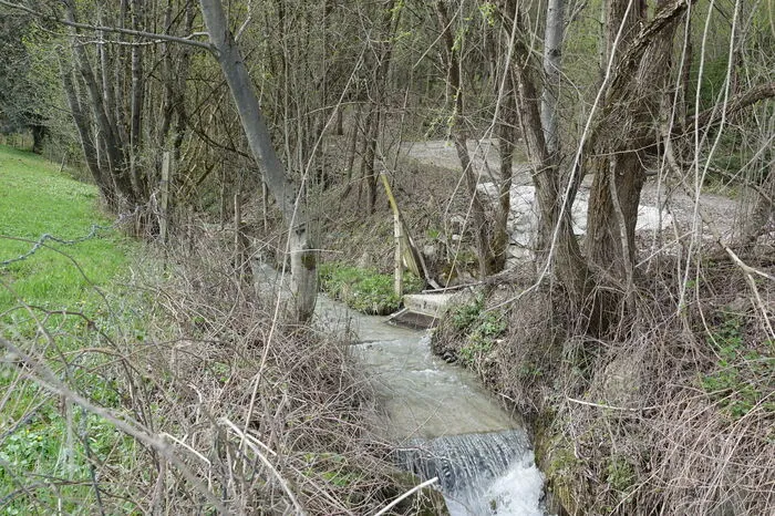 Beim Lokalaugenschein Ende April zeigte sich der Bach noch milchig ...