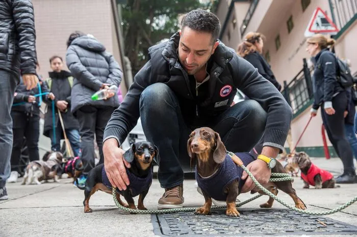 Der "Würstchen-Spaziergang" endete in einem hundefreundlichen Cafe. Er hoffe, dass es in diesem Jahr Verbesserungen für die Vierbeiner in Hongkong geben werde, sagte der Organisator.