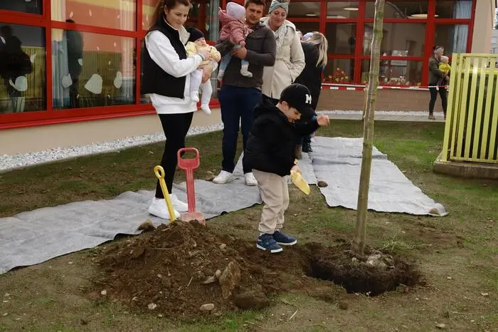 In diesem Zeitraum erblickten aktuell 36 Knaben und 35 Mädchen das Licht der Welt. Für sie wurde am Gelände des Kindergartens in der Hauptstraße ein Apfel- und ein Birnbaum gepflanzt.