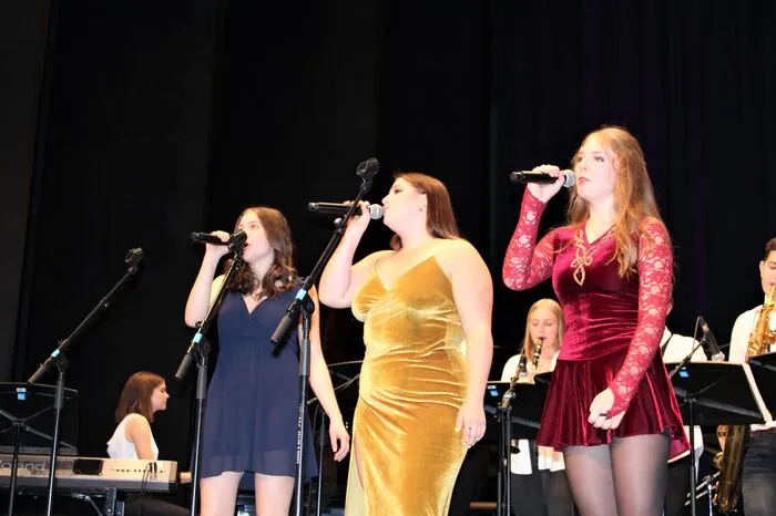 Musikalisch trumpfte das Jazzensemble der Musikschule Weiz...
