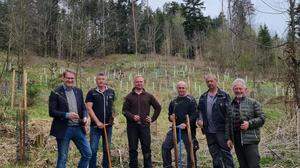 Stolz verkündet die Stadtgemeinde auf Facebook, dass neue Bäume gepflanzt wurden