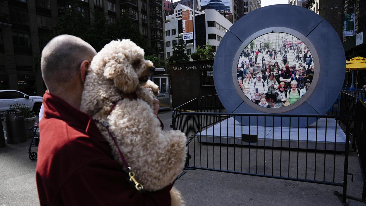 Hunde zählten zu den beliebteren Livestream-Partnern