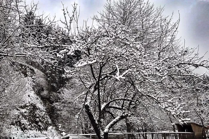 Winterstimmung in St. Peter ob Judenburg.