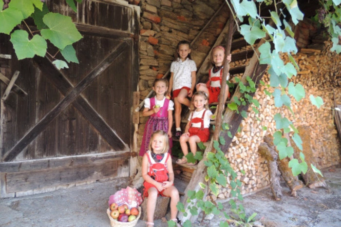 Das traditionelle Apfelfest in St. Georgen findet vom 30. September bis 1. Oktober statt. Das Besonderedaran: Heuer wird an einem komplett neuen Konzept gearbeitet, das den altbewährten König Apfel noch viel mehr in den Mittelpunkt stellt. Am Wochenende darf mansich auf ein Rahmenprogramm mit Musik und Kulinarik freuen..
