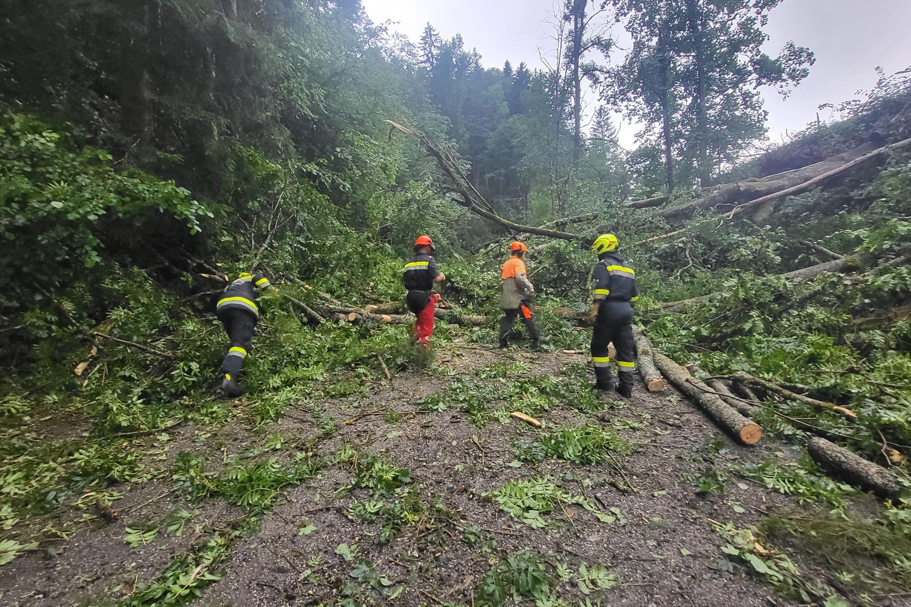 Bruck-Mürzzuschlag: Umgestürzte Bäume und Überflutungen: Unwetter fordern Feuerwehren