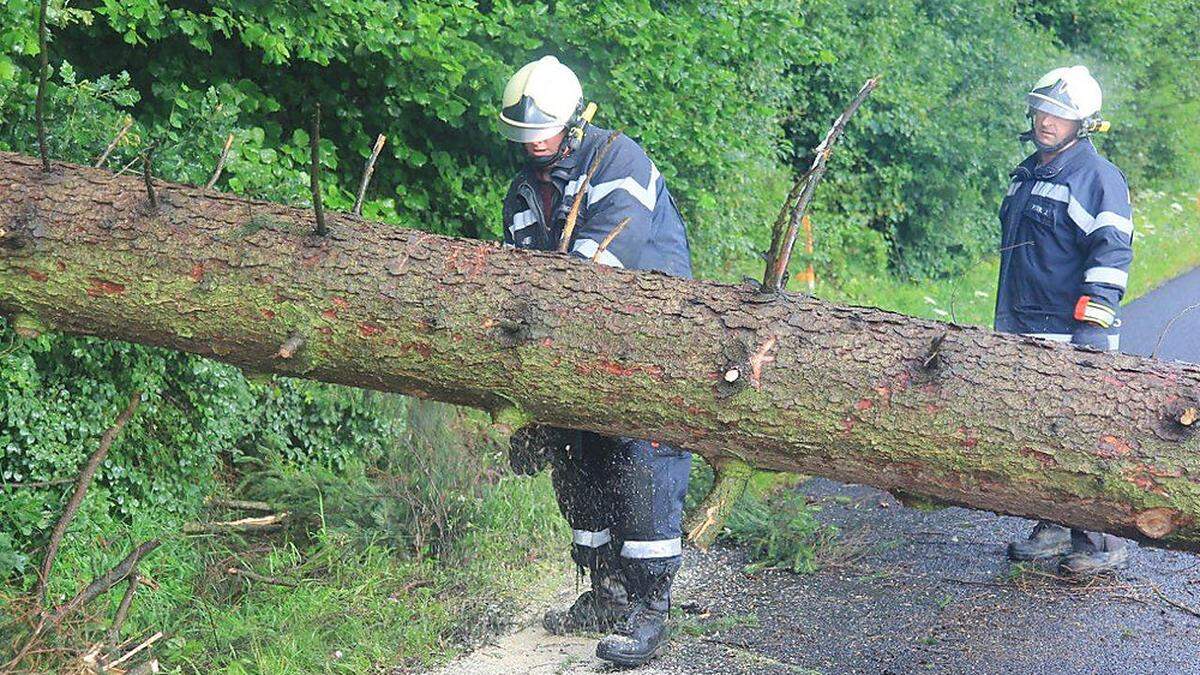 Die Feuerwehr Auersbach rückte in der Nacht auf Freitag aus, um umgefallene Bäume zu bergen