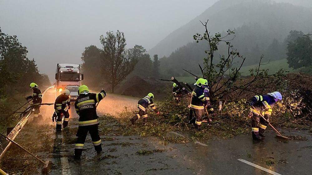In Weißenbach bei Liezen stürzten Bäume auf die B 320. 