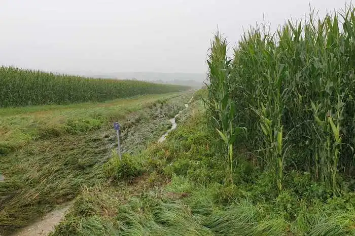 Äcker wurden teilweise weggeschwemmt, die Ernte vernichtet.