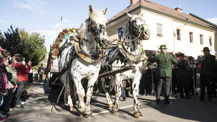Live-Musik und ein buntes Rahmenprogramm runden den Festtag gelungen ab
