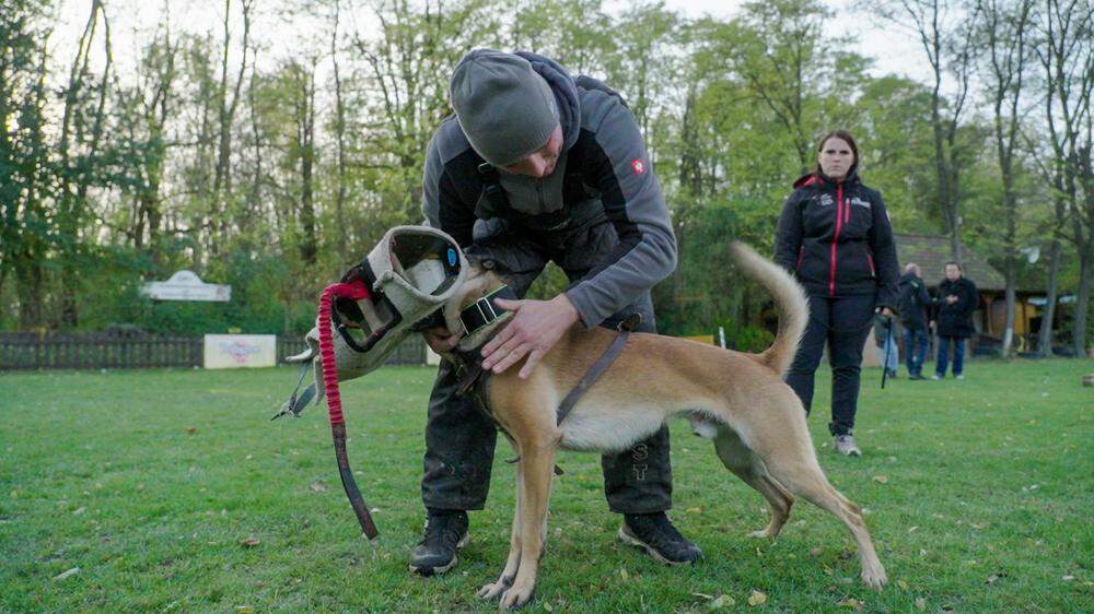 „Erster Schritt“ für Tierschützer, Hundeverband zufrieden