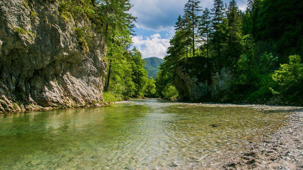 Flusslandschaft im Naturpark Mürzer Oberland, ein Ausflugstipp für heiße Sommertage