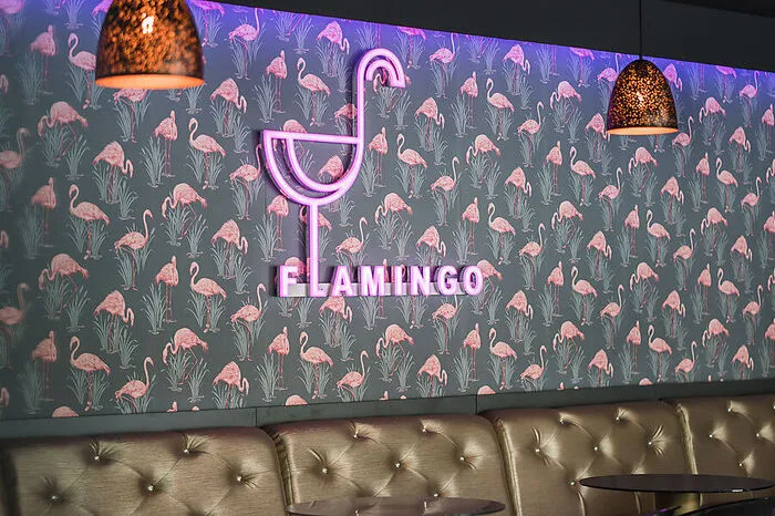 Das Flamingo sperrt dann am Opernring 5 auf.