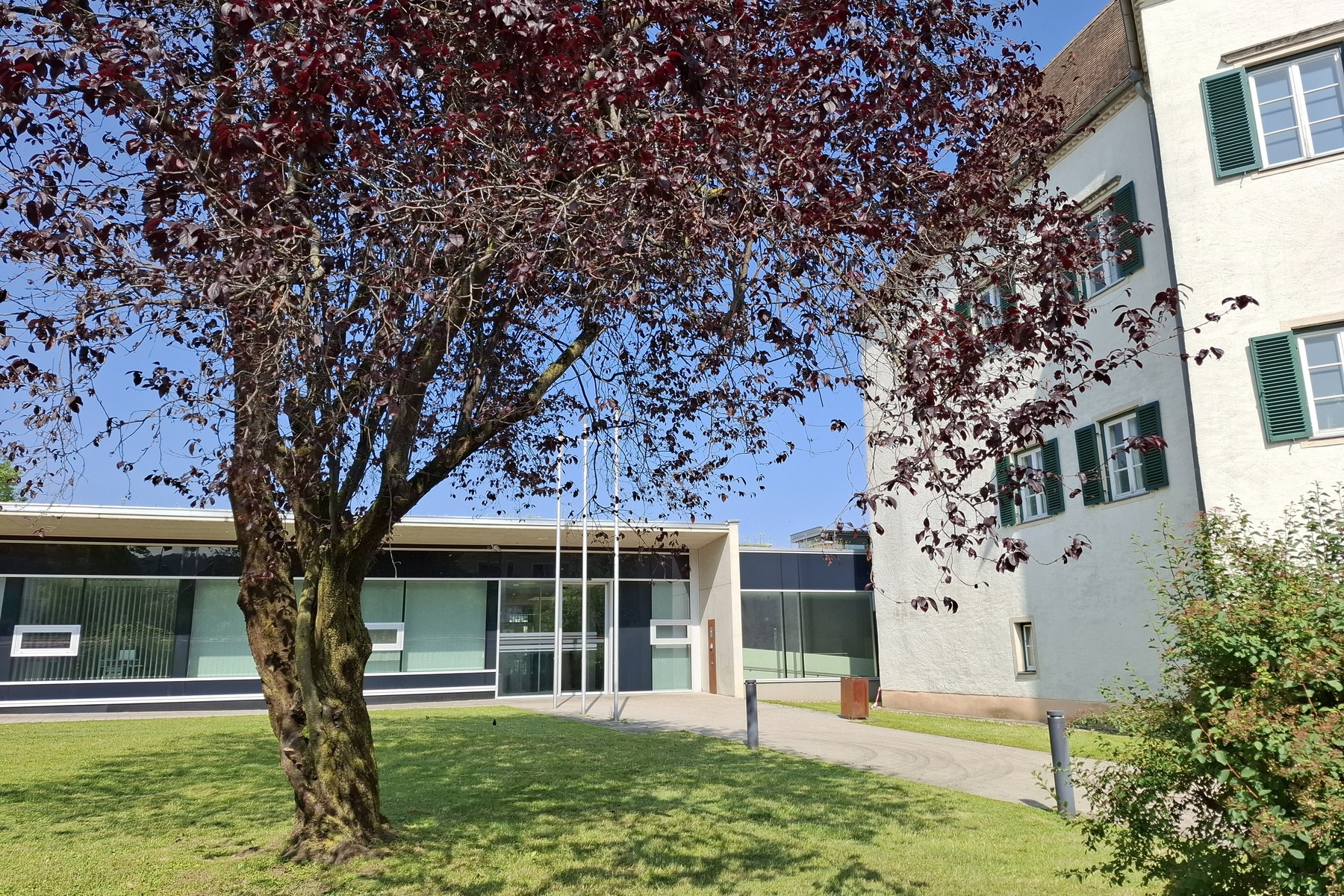 Eskalation eines Gesprächs: Flexible Hilfe: „Er hat seinen Sohn nicht geschlagen, sondern zusammengeschlagen“