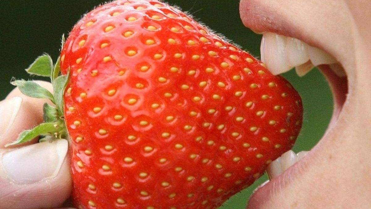 Einzigartig im Geschmack: steirische Erdbeeren