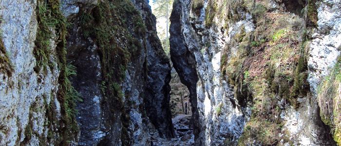 Die Roßlochklamm im Naturpark Mürzer Oberland wird endgültig geschlossen