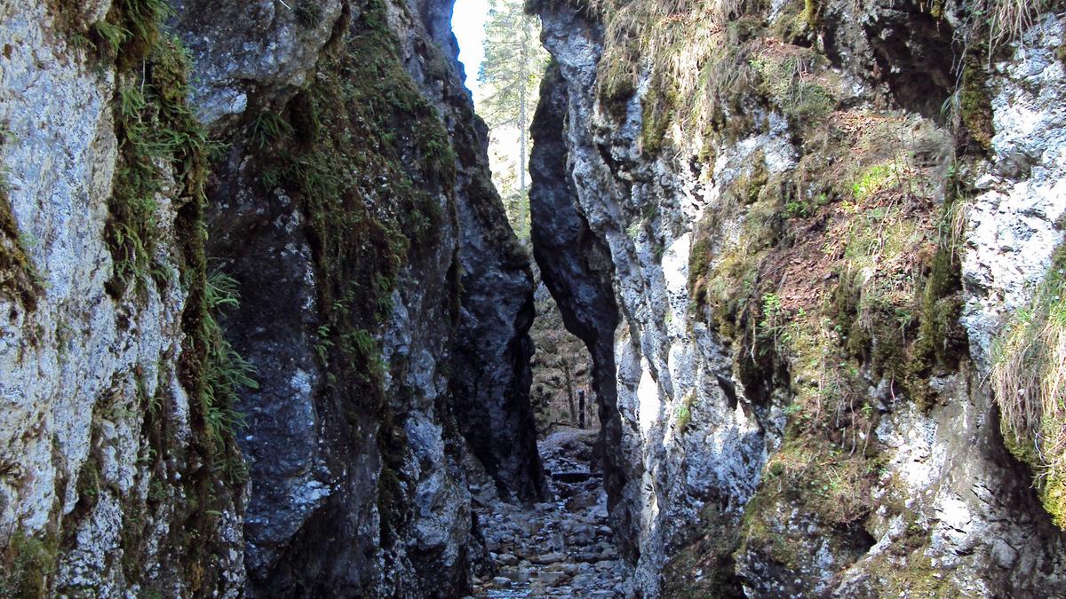 Die Roßlochklamm im Naturpark Mürzer Oberland wird endgültig geschlossen