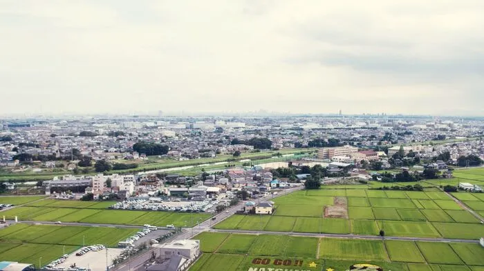 Die Stadt Matsubushi und im Vordergrund riesige Reisfelder.