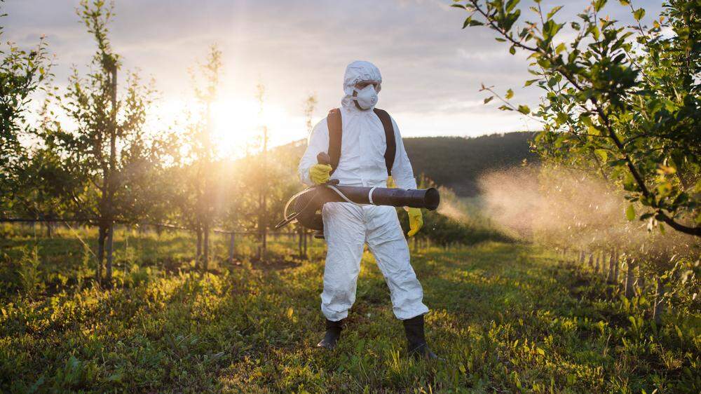 Bei Äpfeln sind laut der Umweltorganisation Pesticide Action Network (PAN) 2019 ungefähr in einem Drittel der Fälle bei Birnen und Pfirsichen fast der Hälfte der Fälle Pestizide nachgewiesen worden.