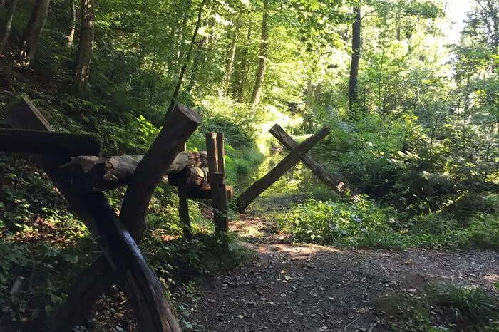 100.000 Menschen haben die Klamm in den vergangenen zehn Jahren bereits besucht - viele von ihnen mehrmals.
