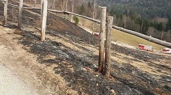 Die Feuerwehren löschten den Wiesenbrand rasch