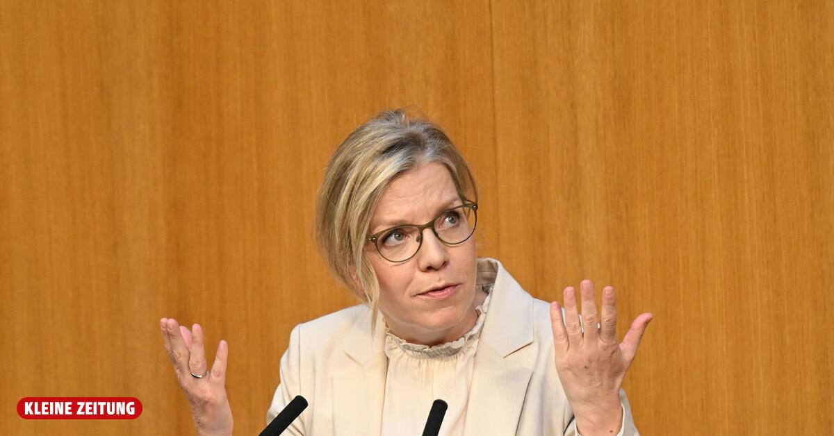 Nationalrat: Nur die Grünen und die SPÖ wollen eine Erbschaftssteuer