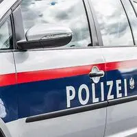 Neben der Polizei standen das Rote Kreuz und die Feuerwehren Fehring und Pertlstein im Einsatz