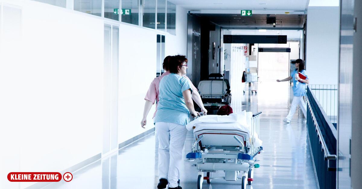 Für die große Meduni-Vision fehlt den Steirern heute das Geld