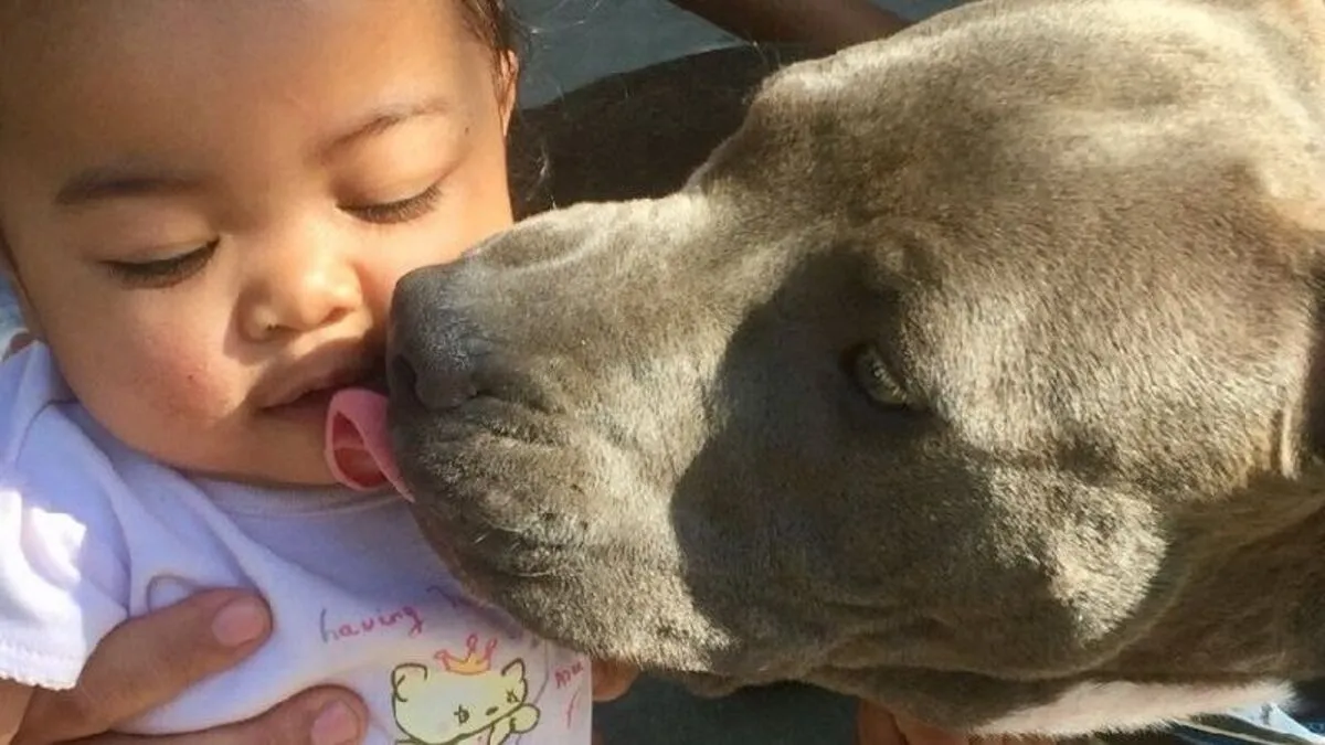 Masailah mit Hündin Sasha