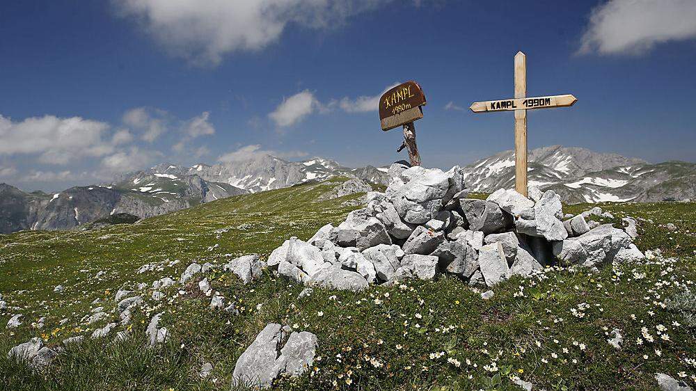 Herrliche Ausblicke,  wunderschöne Alpenblumenwiesen und klare Bergluft