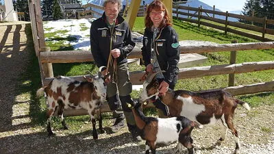 Sonja und Werner vom Wilden Berg hießen mit den Tauernscheckenziegen die Besucher willkommen