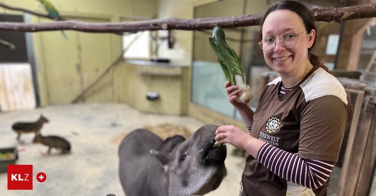 Inventur-in-Tierwelt-Herberstein-Warum-auch-Stofftiere-gez-hlt-werden