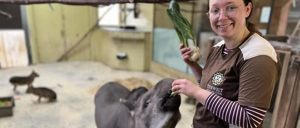 Interview mit einem Tapir: Tierpflegerin Sarah Wallisch mit Gonzo und Kylie. „Die Tapire sind schnell gezählt“