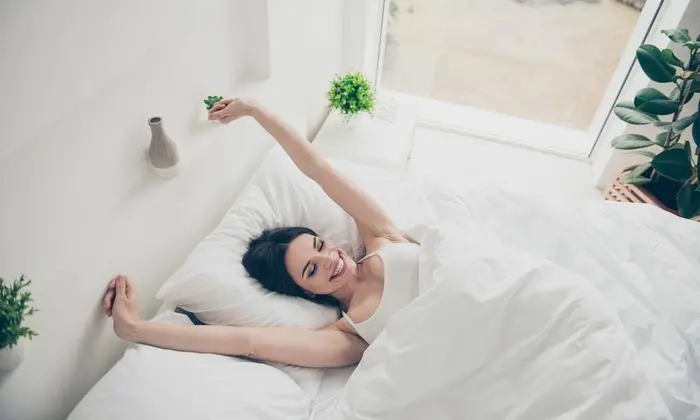 Dank Insektenschutz haben lästige Mitbewohner keine Chance.