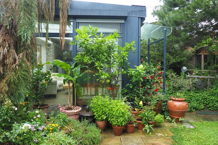 Mystisch und geheimnisvoll sind die Licht- und Schattenspiele unter dem dichten Blätterdach im höchst privaten Gartenrefugium von Blumenschmuck-Juror Klaus Wenzel.