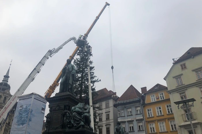 Am späten Vormittag wurden die Lichter am Baum montiert.