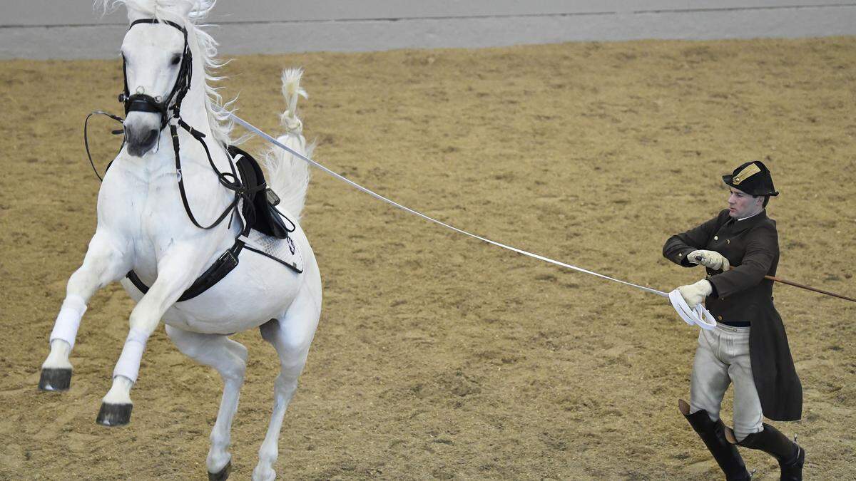 Ein Lipizzaner und ein Bereiter (Archivbild)